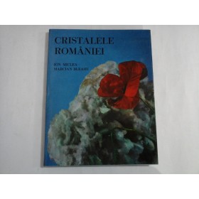 CRISTALELE  ROMANIEI  -  Ion MICLEA / Marcian  BLEAHU      
